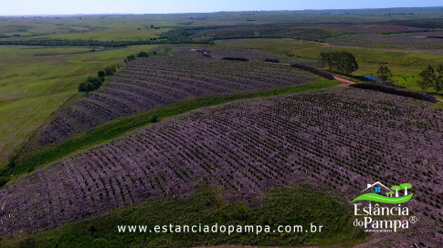 DOS EÓLICOS VIRA P FAZENDA_Moment.00_00_57_01.Quadro316_fcb7eae9cf863f5cb6c63d44786af8ae13e8fbbc.jpg